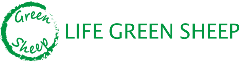 Logo Life Green Sheep